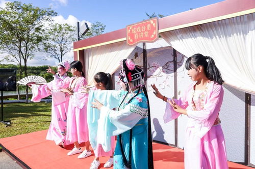 海南舉辦新時代文明實踐志愿服務項目展示活動，數字創意賦能志愿服務新風尚